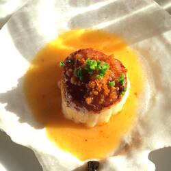 Scallops