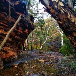 Wanderung durch die Alligator-Schlucht, Flinders Ranges