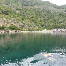 Michael schwimmt vor neugierigem Publikum