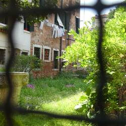 Glimpses of gardens on the other side of walls