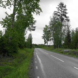 Mehr Asphalt, besser meiden