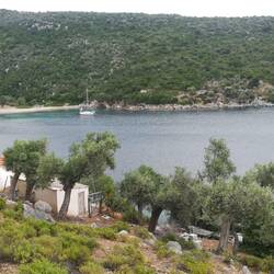 Die Bucht Peristeria