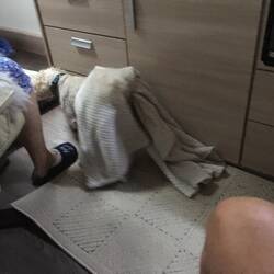 Sonny turning into a snail