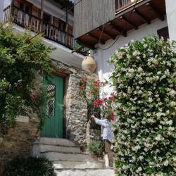 Viele schöne Ecken in der Stadt