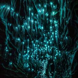 Glowworm Cave