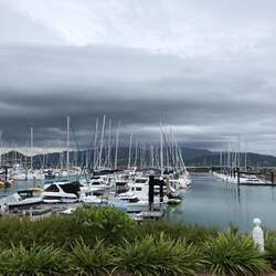 Abell Marina; Airlie Beach