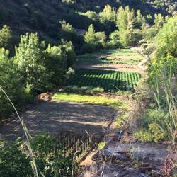 Villafranca del Bierzo: small farming