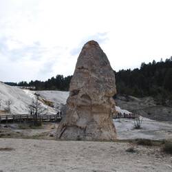 Liberty Cap.