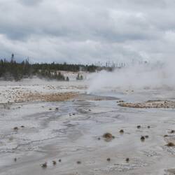 Whirligig Geyser.