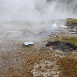 Young Hopeful Geyser.