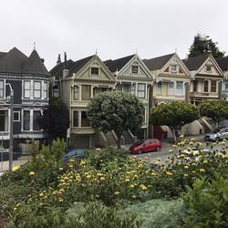 Painted Ladies
