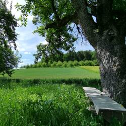 What a nice place for a break!