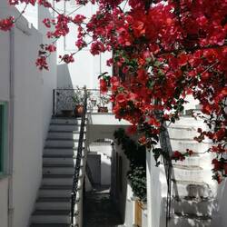 Enges Gassenlabyrinth