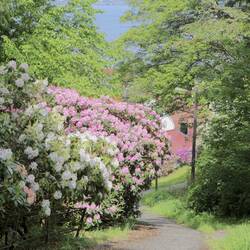 En bas de la descente de Floyen