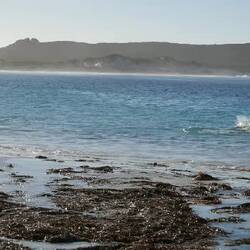 Der Seehund begegnete uns am frühen Morgen in der Lucky Bay.
