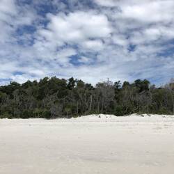 Whitehaven Beach; Whitsunday Island