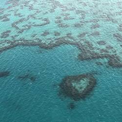 The Heart; Great Barrier Reef