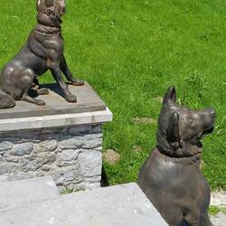 Not sure if these were supposed to be guard dogs, but they weren't very scary. In Tivoli Gardens