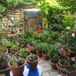 Dafür fanden wir einen schönen Kräutergarten bei Fanni