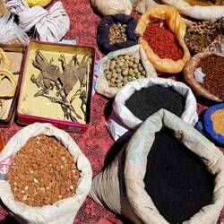 Chinese medicinal ingredients, including dried lizard!