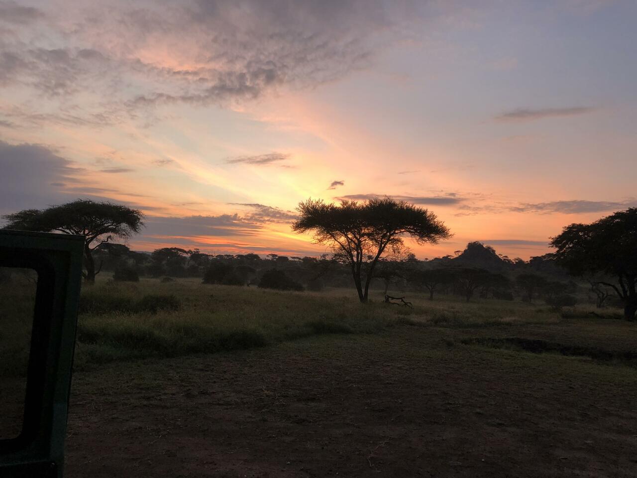 Sunrise