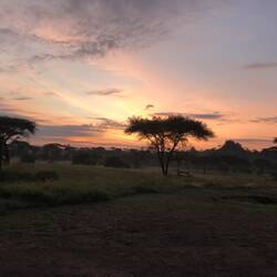 Sunrise