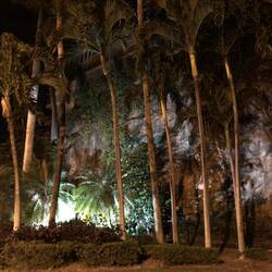 The Strand; Townsville