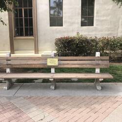 Forrest Gump bench