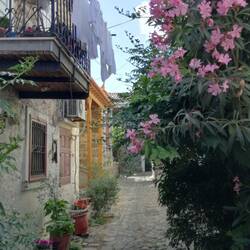 Grüne Gassen, weiße Wäsche