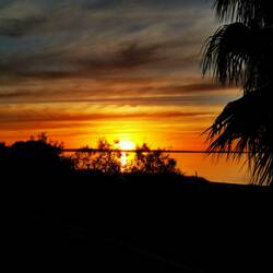 Sonnenuntergang Monkey Mia