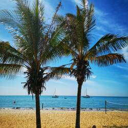 Der Strand von Monkey Mia