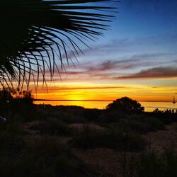 Sonnenuntergang Monkey Mia