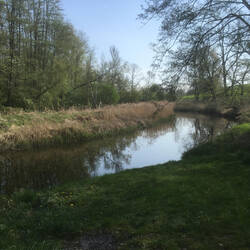 An der Warnow.