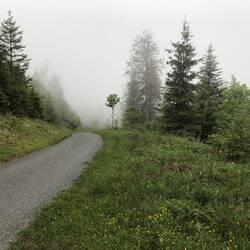 Sicht wird immer schlechter