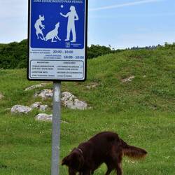 Selbstredend; selbstredend auch dass die Zeiten dehnbar sind