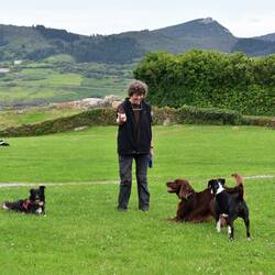 "Hundewiese" neben der Kapelle