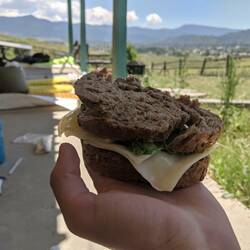 Vollkornbrot mit Käse 😍