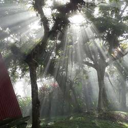 Magische Momente am Morgen 😍