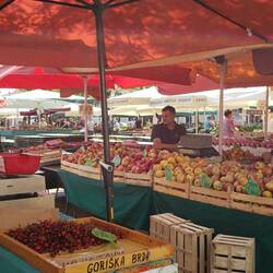 The color of the umbrellas indicates how local the produce is.