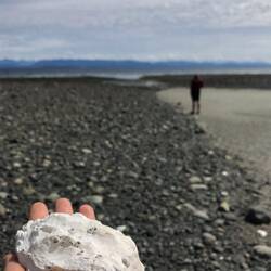 Austern am Strand von Comox