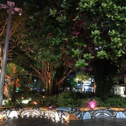 Shields Street; Cairns