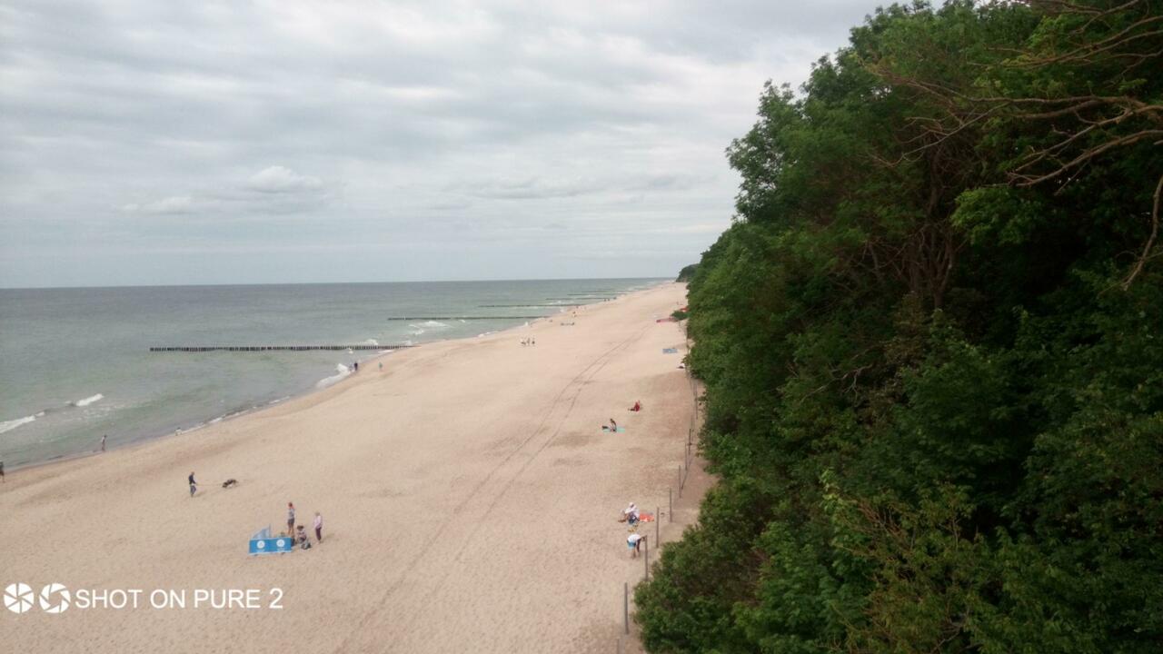 Mal nach rechts geschaut