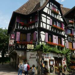 Obernai