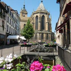 Colmar