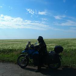Korn bis zum Horizont