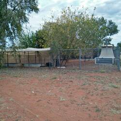 Clinic chook house and garden