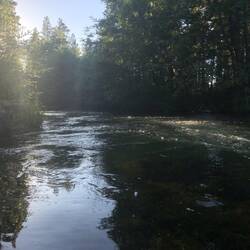 Hat Creek above Bridge Campground
