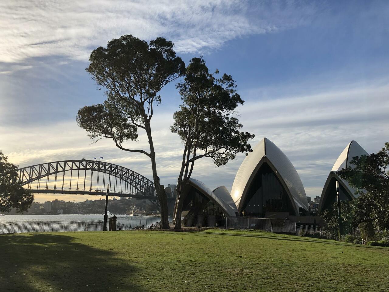 Sydnay Opera House & Harbour Bridge from Royal Botanic Gardens; Sydney
