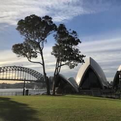 Sydnay Opera House & Harbour Bridge from Royal Botanic Gardens; Sydney