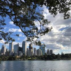 Skyline from Royal Botanic Gardens; Sydney